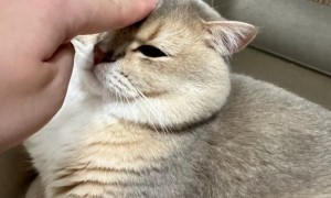 眼酱大魔王w – NO.112 Fantia  2024年10月订阅 (6套)