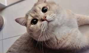 眼酱大魔王w – NO.106 24年04月Fantia会员订阅 2667243