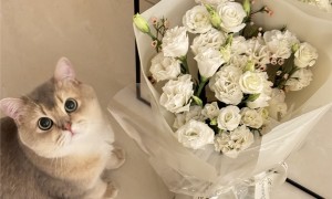 眼酱大魔王w – NO.106 24年04月Fantia会员订阅 2677256