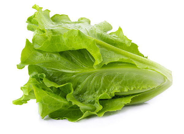 低热量蔬菜有哪些