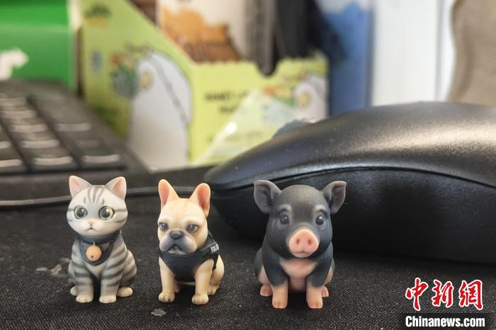 定制宠物纪念品热 消费者在仪式感中寻找情感出口