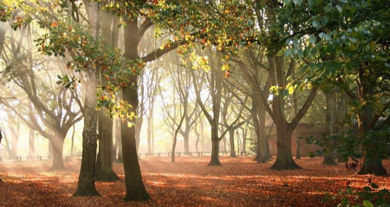 1766130722259363.png 段德春:“金价”洗盘依旧!