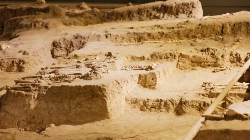 新华视点丨为了不应被遗忘的生命