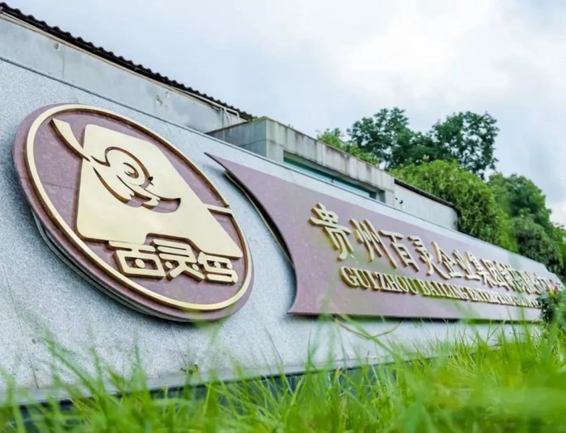 贵州百灵股票简称将变更为“ST百灵”，预处罚已落地或还面临股民索赔