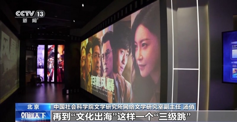 2024 年中国网文营收规模达 495.5 亿元同比增长 29.37%，出海营收超 48 亿元