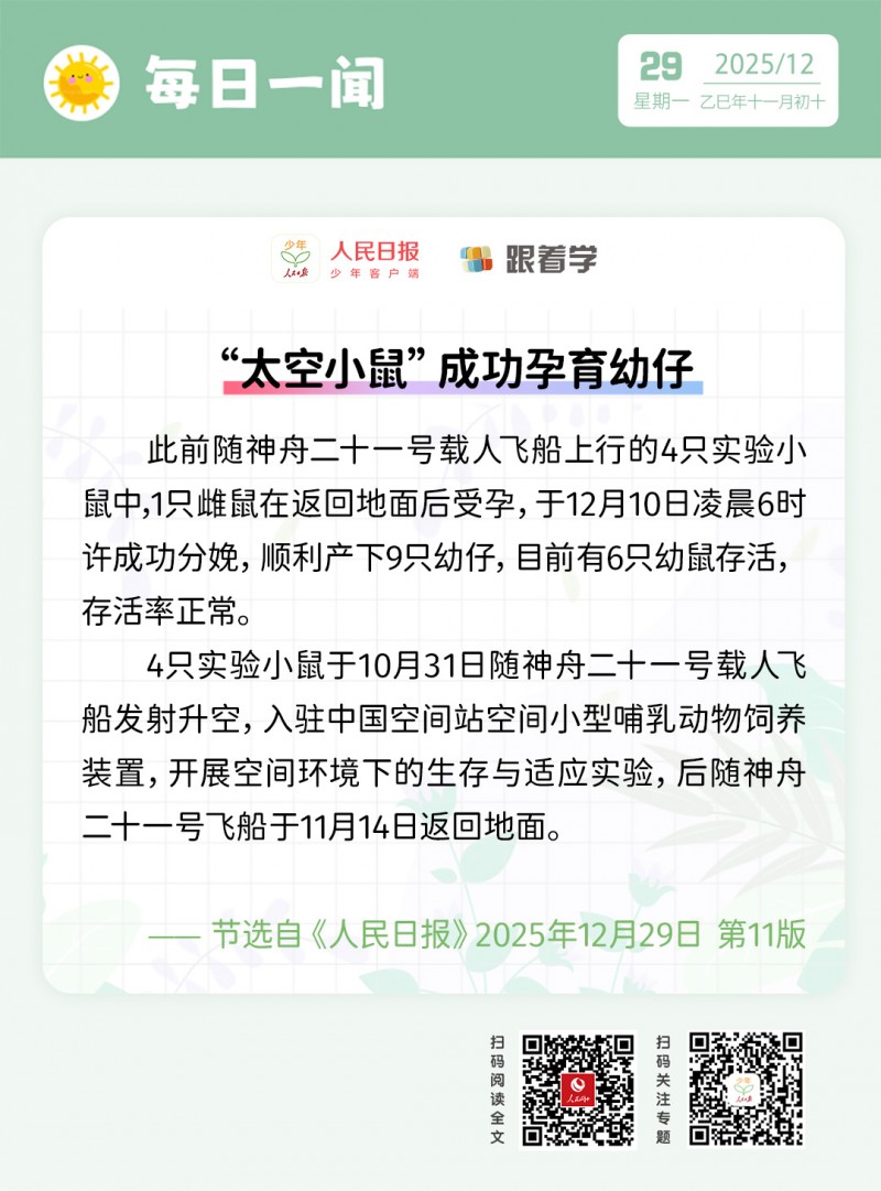 每日一闻丨“太空小鼠”成功孕育幼仔