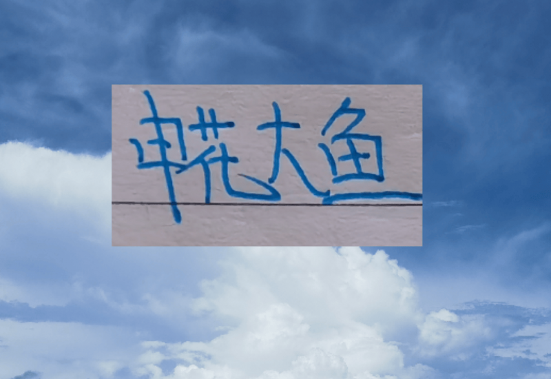 原创             申花大鱼终于上岸了！切尔西教练2026年第一天下课