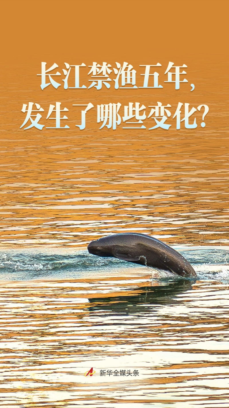 长江禁渔五年，发生了哪些变化？