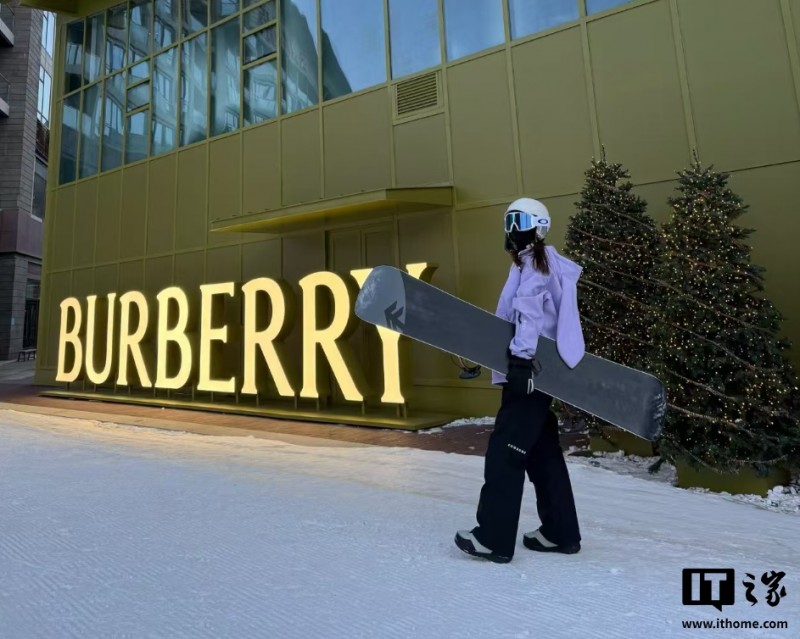 12306 回应部分列车标“雪”字：提供托运雪具服务，不影响普通旅客乘车