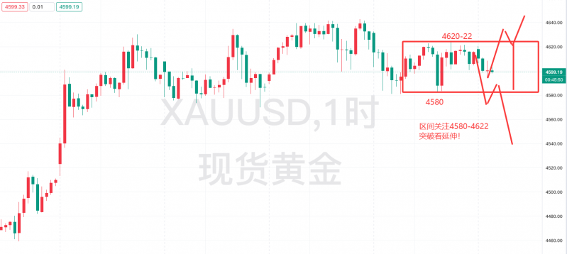 诺皓论金：黄金，价格修正？